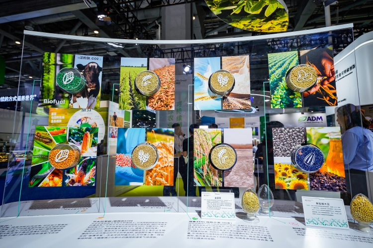 OEŷ��|�ٷ���վ